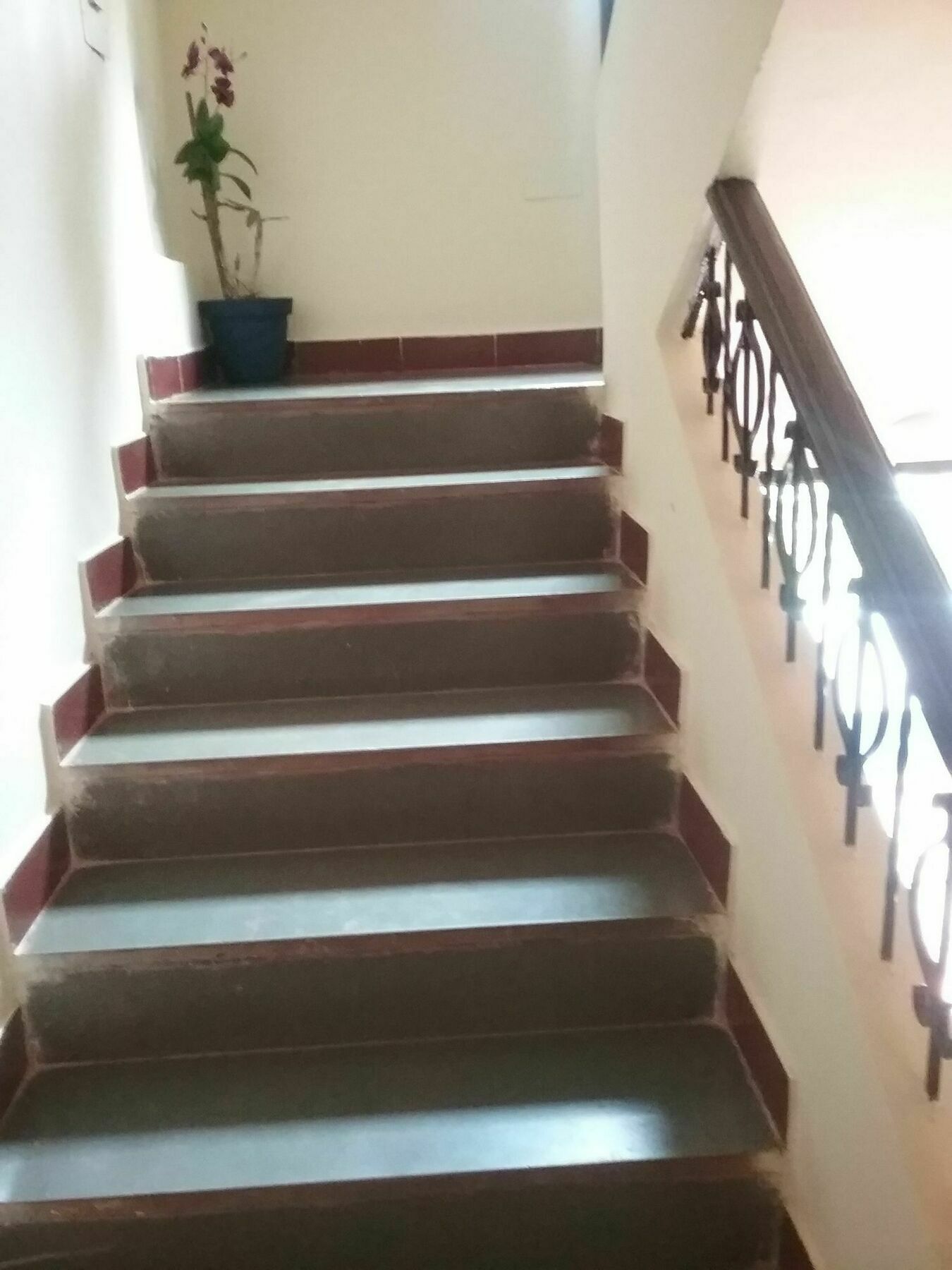 Hotel Baga Villa Bnb Saligao Exteriér fotografie