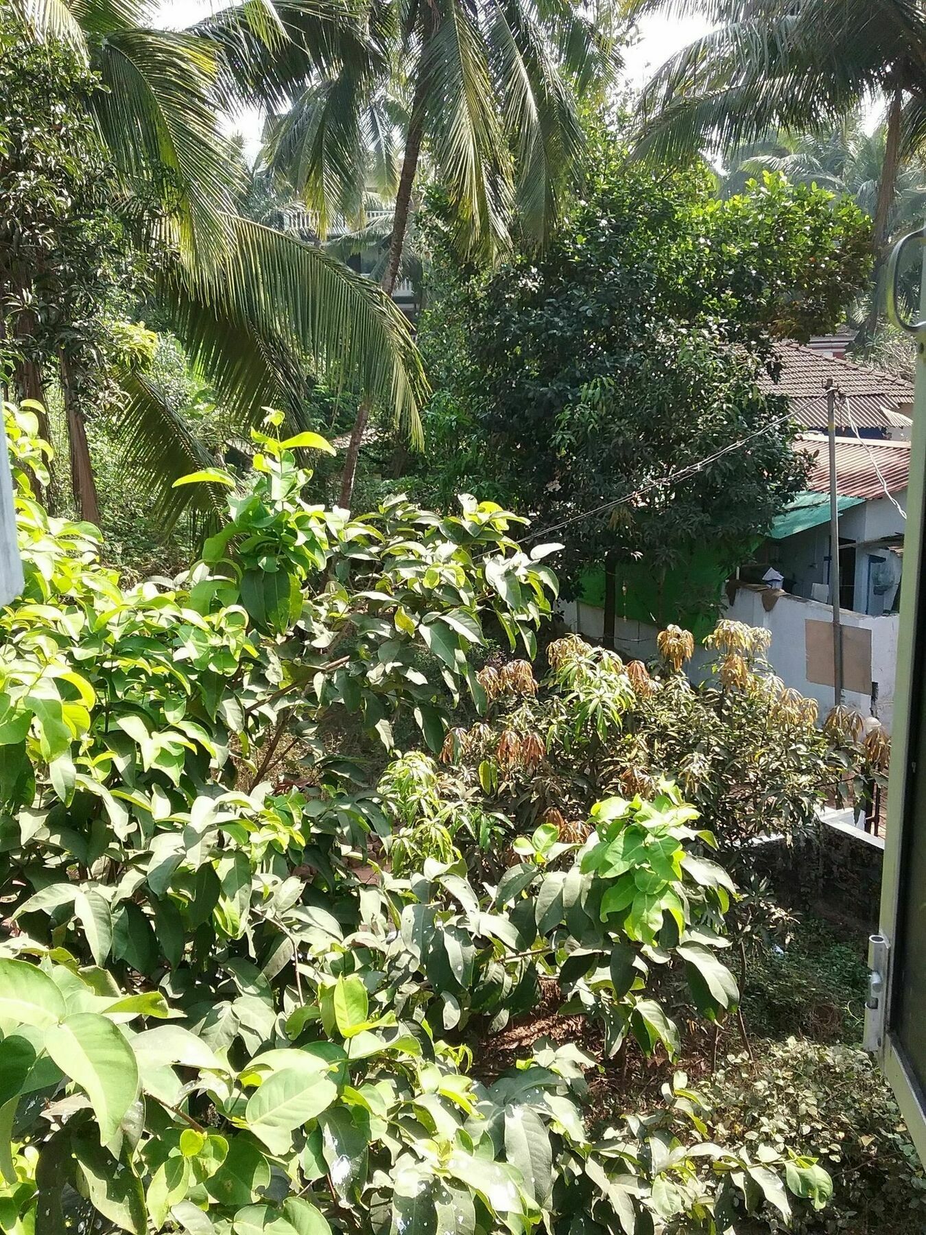 Hotel Baga Villa Bnb Saligao Exteriér fotografie